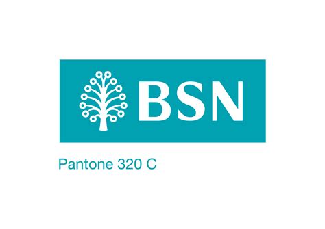 BSN