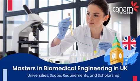 Ba Application Requirements Biomedical Engineering Masters