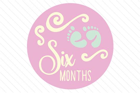 Download Babies First Year - Set of Monthly... SVG File - SVG Design Cricut SVG DXF Files