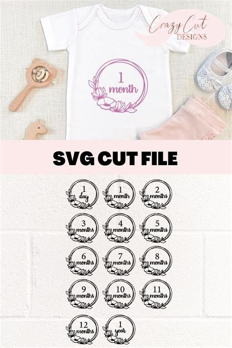 Download Babies First Year - Set of Monthly... SVG File - SVG Design for Cricut Machine