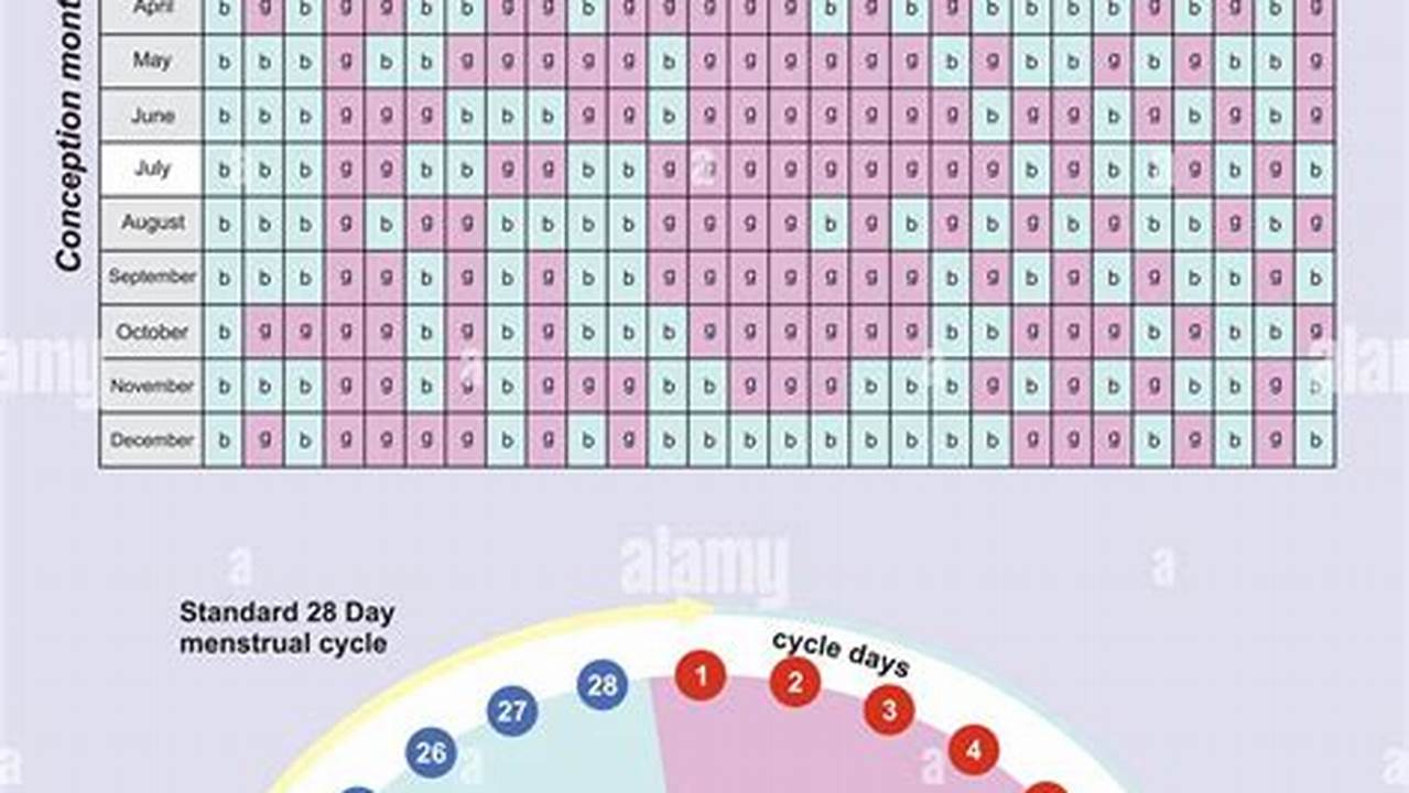 Baby Conception Calender