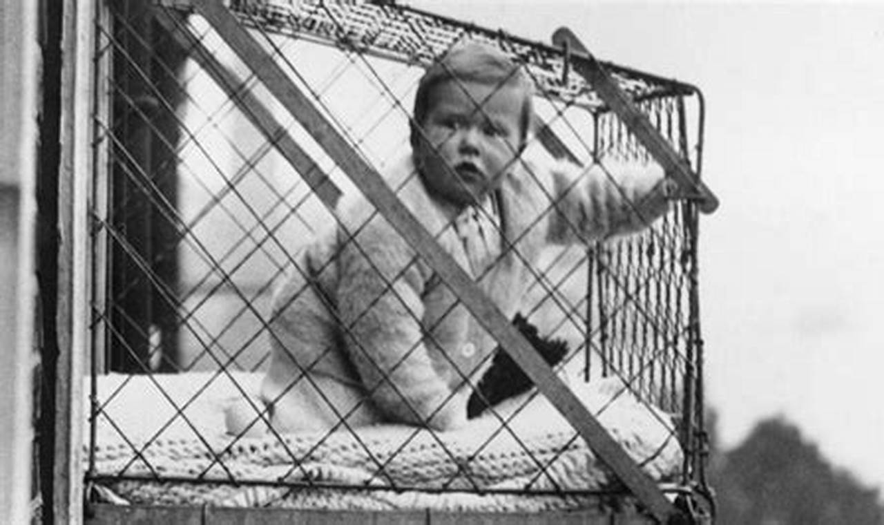 Baby Window Cage Deaths