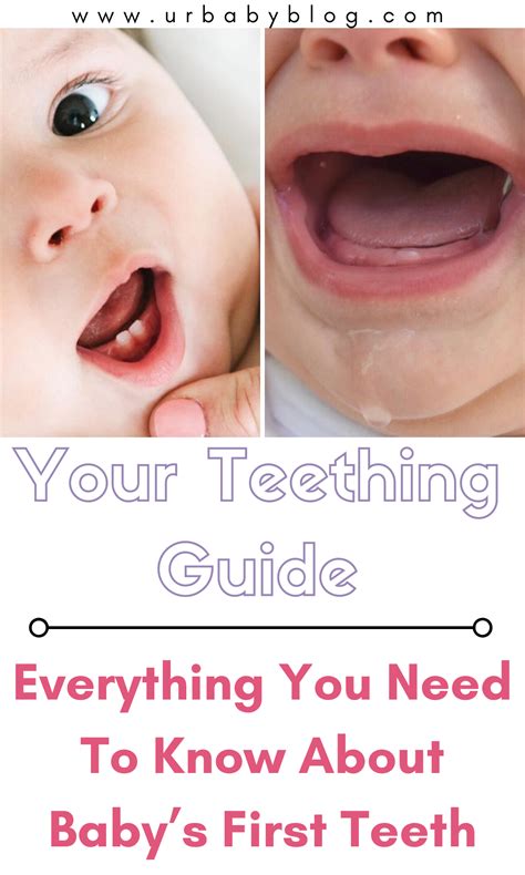 Baby's First Teeth: Signs & Soothing Relief