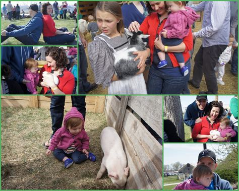 Cute Overload: Experience the Delightful Baby Animals at Logan's Animal Days!