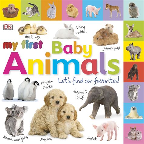 Baby Animals Book