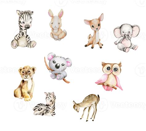 Baby Animals Drawings Cute