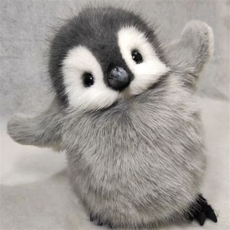 Baby Animals Pinterest