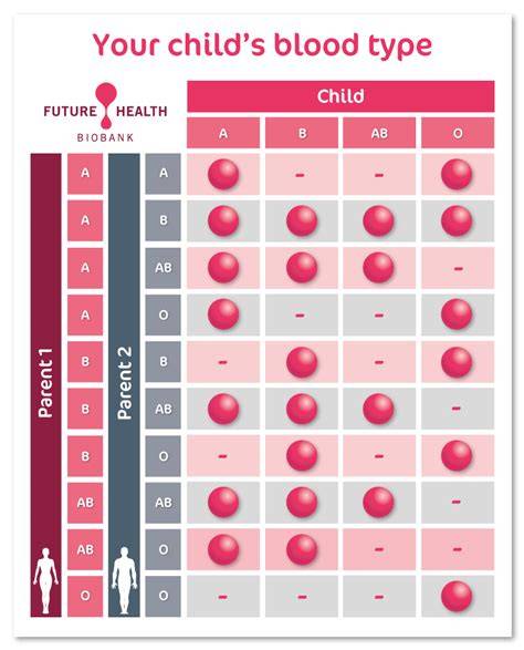 Baby Blood Type Chart