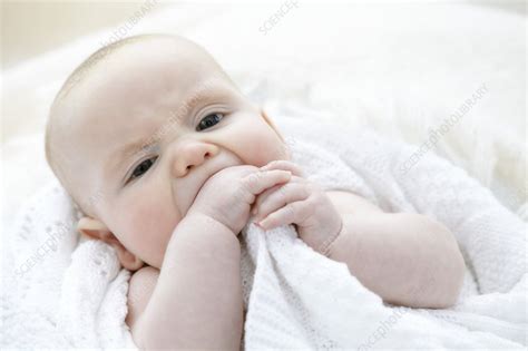 Here are five SEO titles with catchy and fancy variations for the keyword Baby Chewing On Hands:1. Chomp, Chomp, Goo: Why Your Baby is Obsessed with Chewing on Their Hands2. The Cutest Chewers in Town: How to Soothe a Baby Who Can't Stop Gnawing on Their Fingers3. Bite Me! Understanding the Fascinating Science of Why Babies Chomp on Those Tiny Hands4. Handy Tips for Parents: How to Deal with a Teething Baby and Their Adorable Hand-Chewing Habit5. Tiny Hands, Big Appetite: The Ultimate Guide to Helping Your Baby Cope with The Painful Process of Teething.