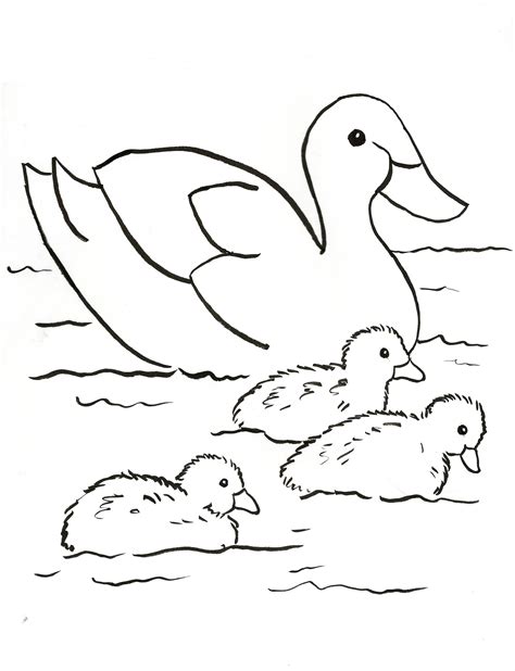 Baby Duck Duckling Coloring Pages