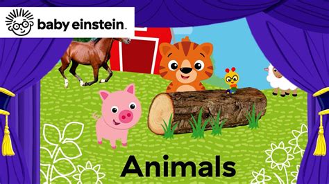 Baby Einstein Animals Pinterest