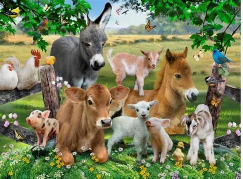 Baby Farm Animals Together