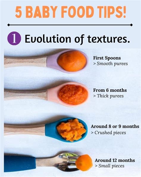 Baby Food: Textures & Recipes for Growth