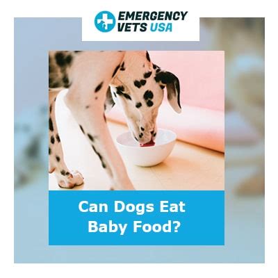 The Ultimate Guide to Pupperlicious Baby Food for Doggos - A delectable and nutritious treat for your beloved furry friend!