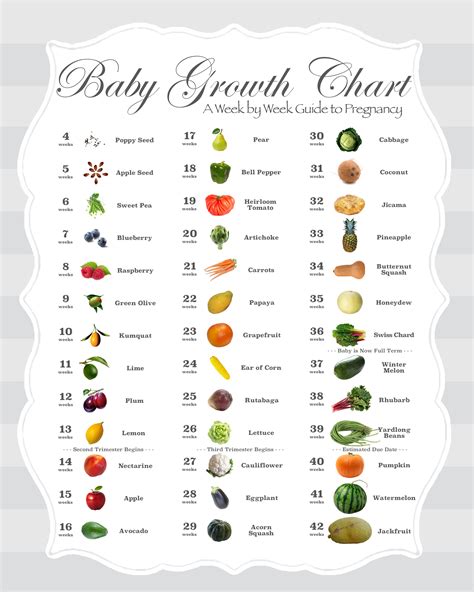 Baby Fruit Size Chart