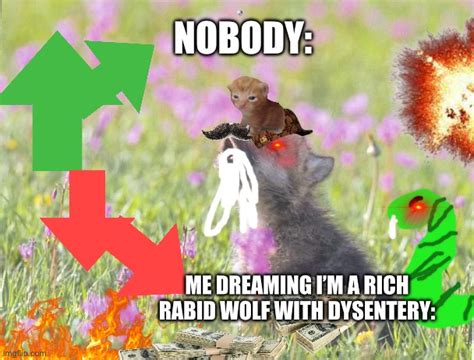 Baby Insanity Wolf Meme
