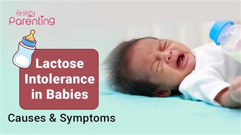 Baby Lactose Intolerance: Signs & Relief