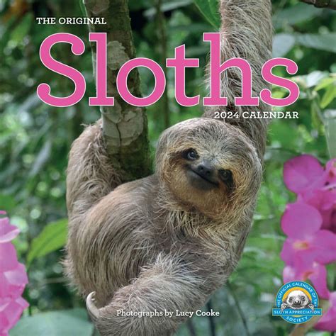 Sloths Calendar 2022