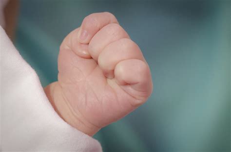 Baby With Fist In Mouth