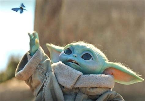 Baby Yoda Reaching Out