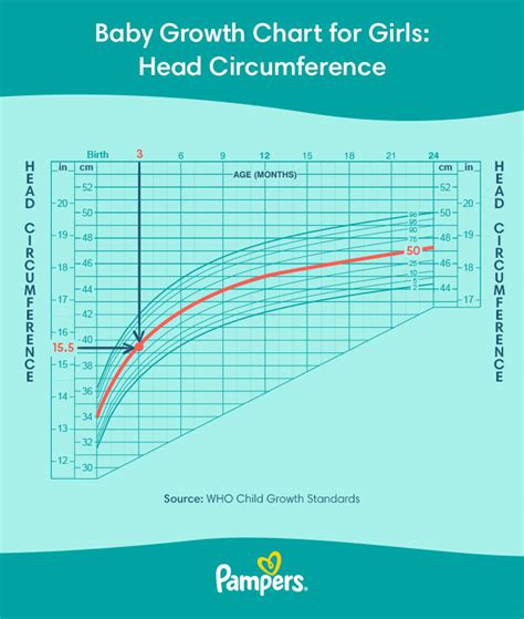 Babys Head Circumference Chart