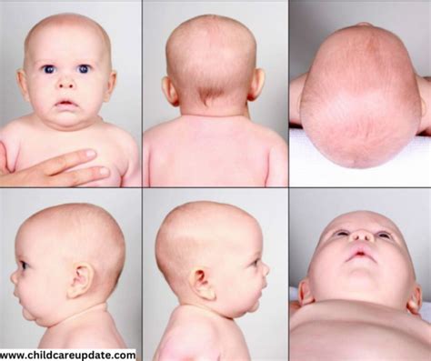 The Perfectly Shaped Baby Head: Tips and Tricks for Keeping Your Little One's Noggin Looking Round and Beautiful
