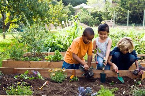 Garden Themes For Toddlers How To Garden With Young Kids