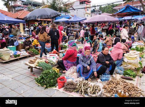 Bac Ha Market Scene