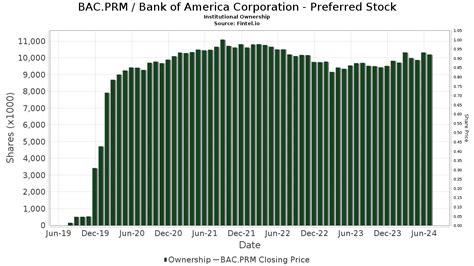 Bac Preferred Stock