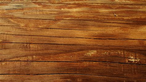 20 Model Terbaru Background Kayu yang Menarik Perhatian - Koleksi Desain Terbaik!