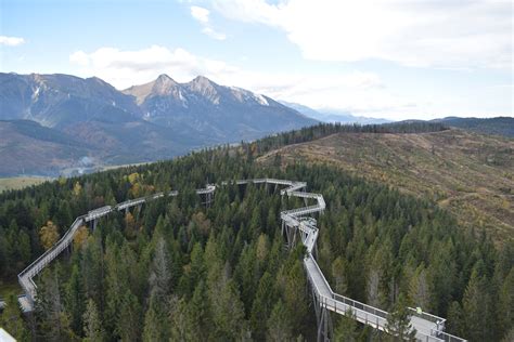 Bachledka Treetop Walk