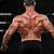 Back Muscle Anatomy Bodybuilding
