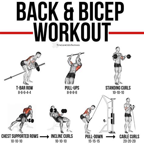 Back And Bicep Exercises