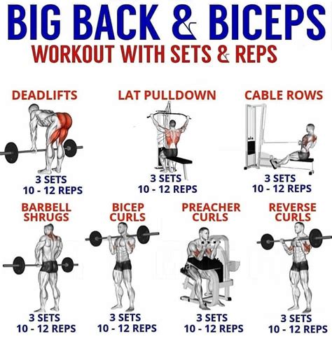 Back And Bicep Workout For Mass