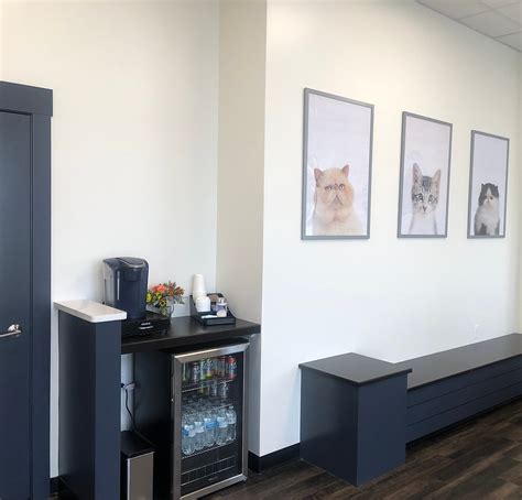 Expert Pet Care at Back Cove Animal Hospital in Portland, Maine - Your Trusted Local Veterinarian