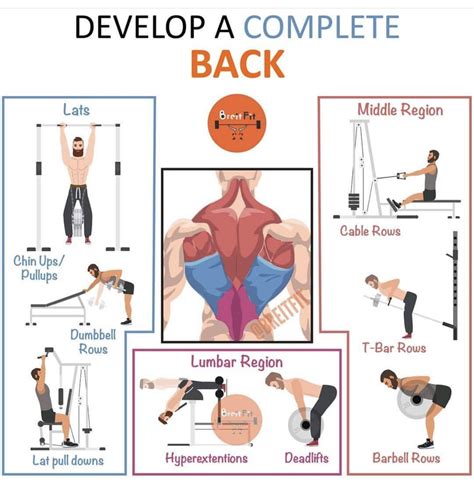 Back Excercises