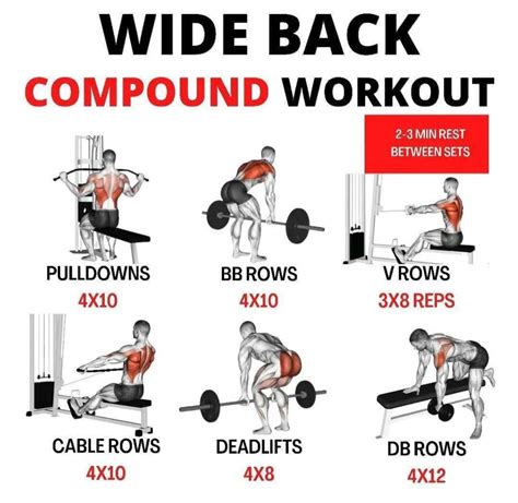Back Exercise