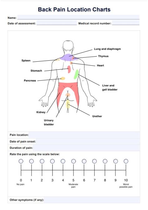 Back Pain Locator Chart