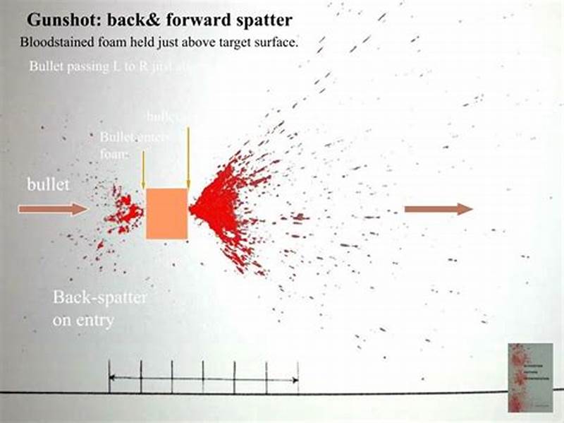 Back Spatter Pattern