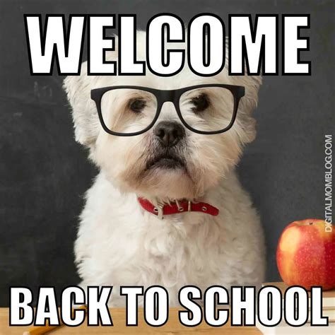 Back To School Dog Meme