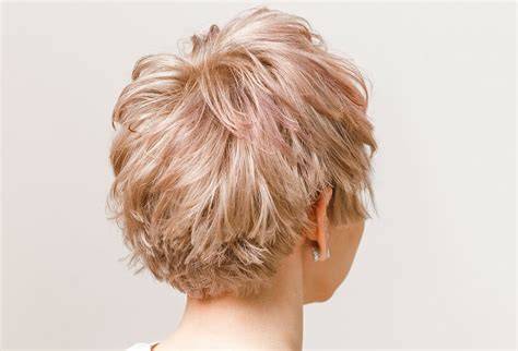 Famous Inspiration 41+ Short Haircuts Back View Only