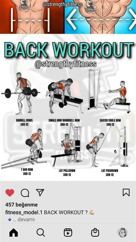 Back Workout Back Exercises Chart