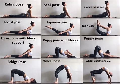 Back flexibility exercises