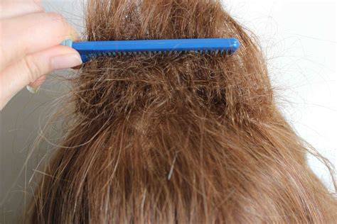 Backcombing for Height