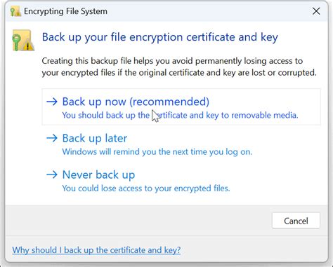 Backing up encrypted files