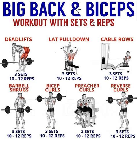 Backs And Biceps