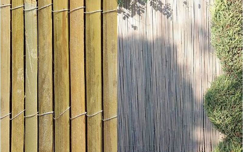 Backyard Bamboo Fence Privacy: Creating A Natural Barrier For Your Outdoor Sanctuary