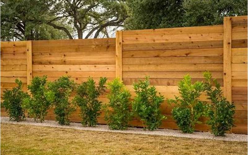 Backyard Fence Privacy
