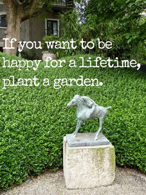 Backyard Quotes