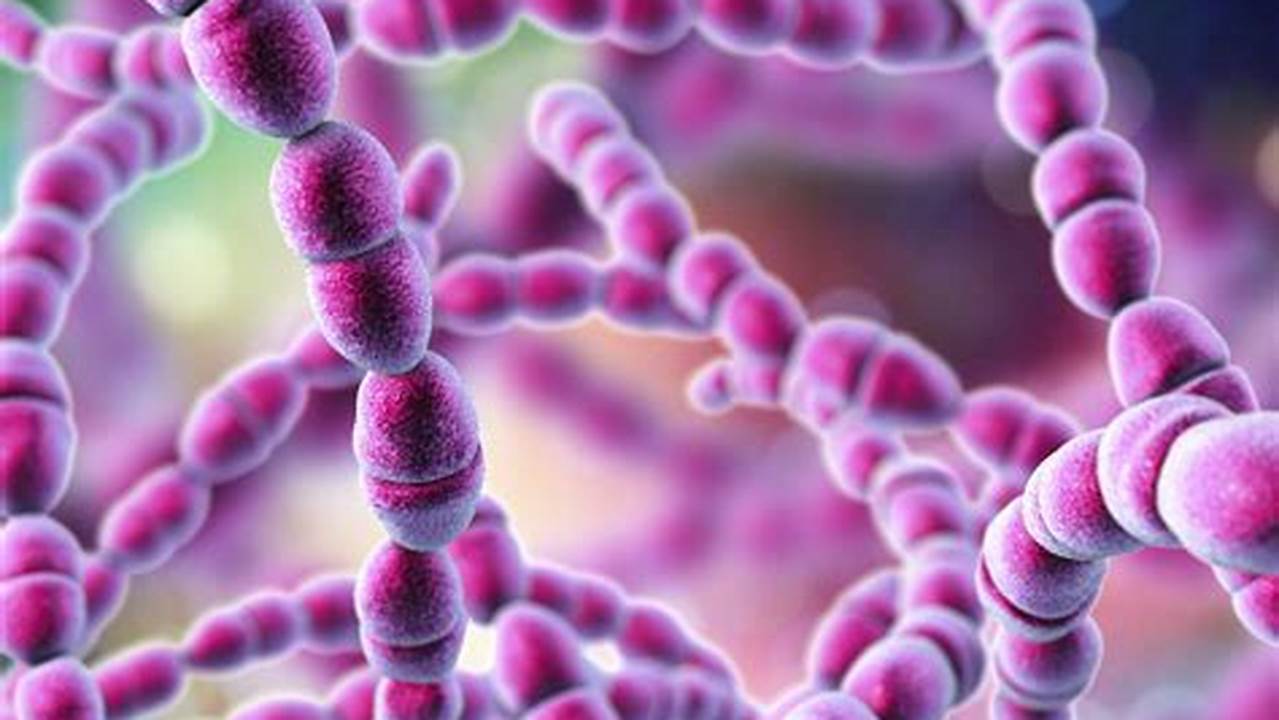 Unveiling the Secrets of Streptococcus: Breakthroughs and Revelations